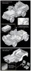 Dragon 7481 SAS Raider 4x4 Truck (1:72)